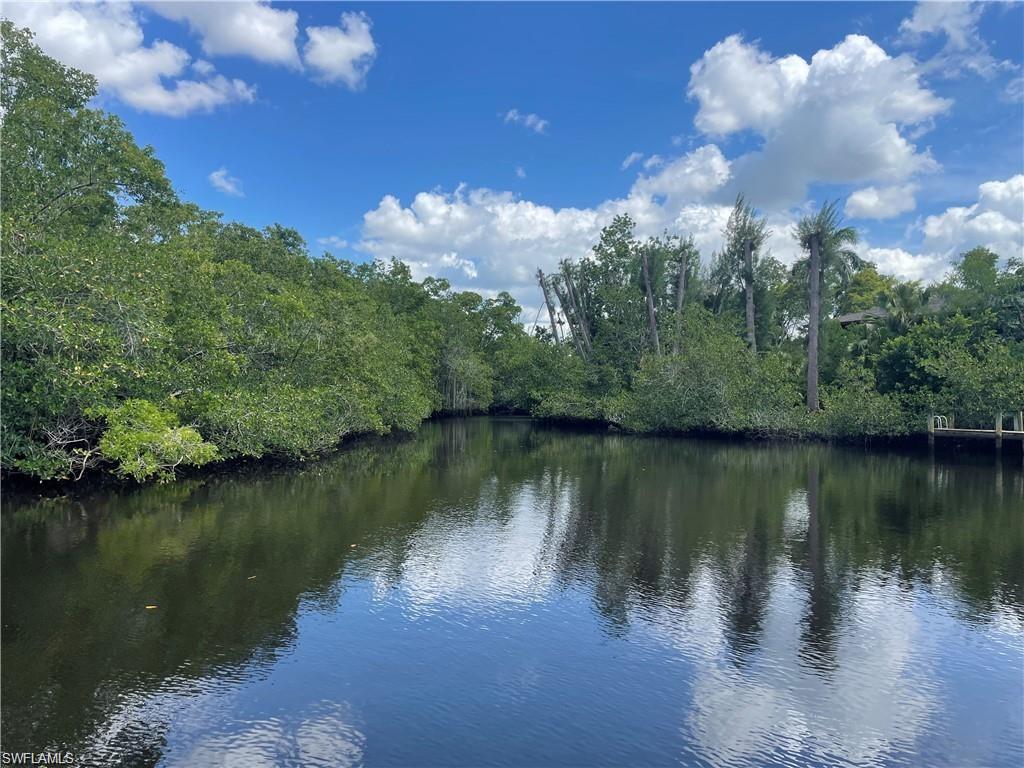 Water view featuring a wooded view