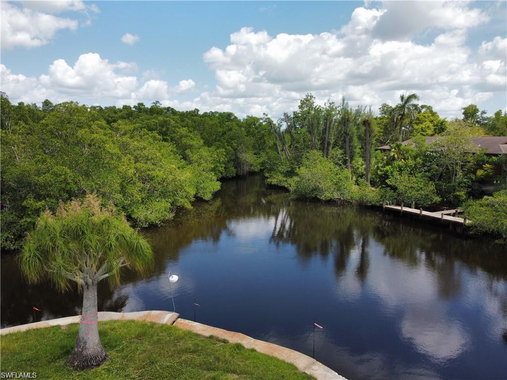 1550 13th Avenue North Naples, FL 34102 - Photo 10 of 13 View of water feature with a forest view