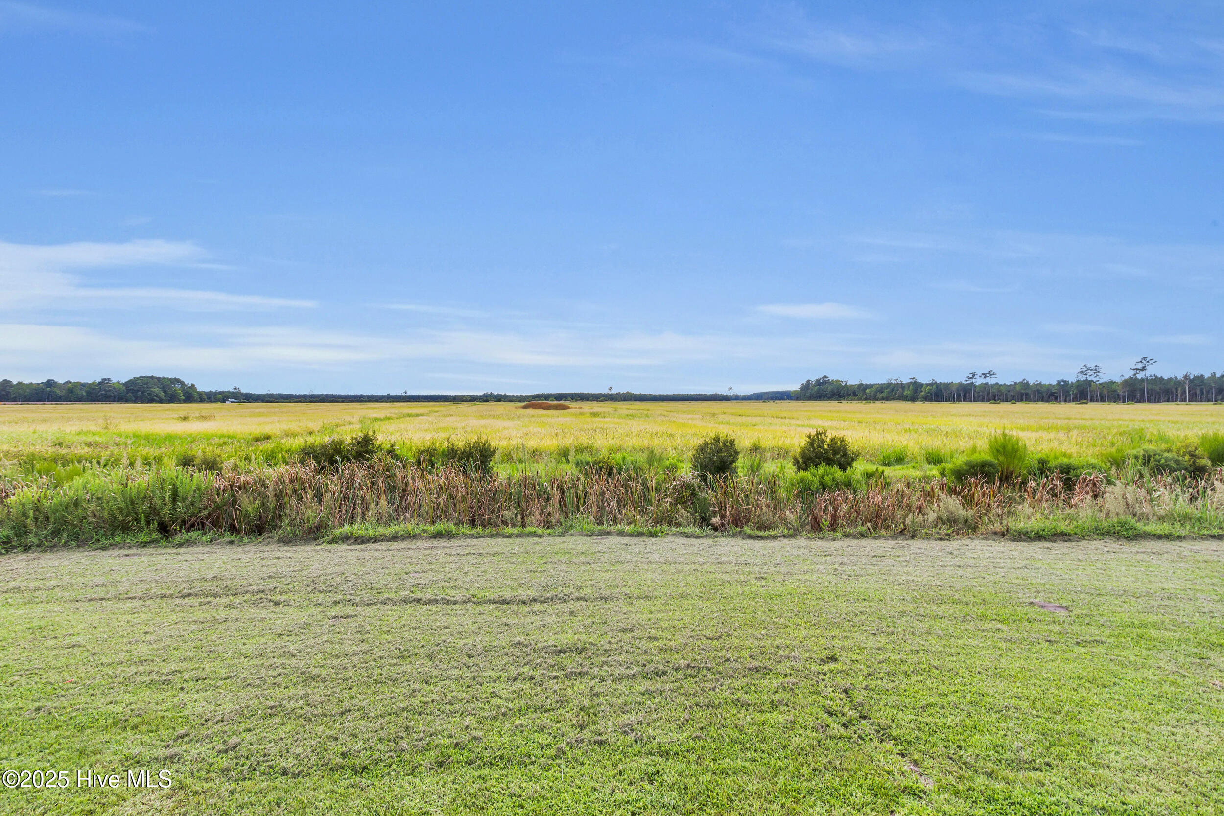 932 Whortonsville Road Merritt, NC 28556 - Photo 23 of 25 19_17