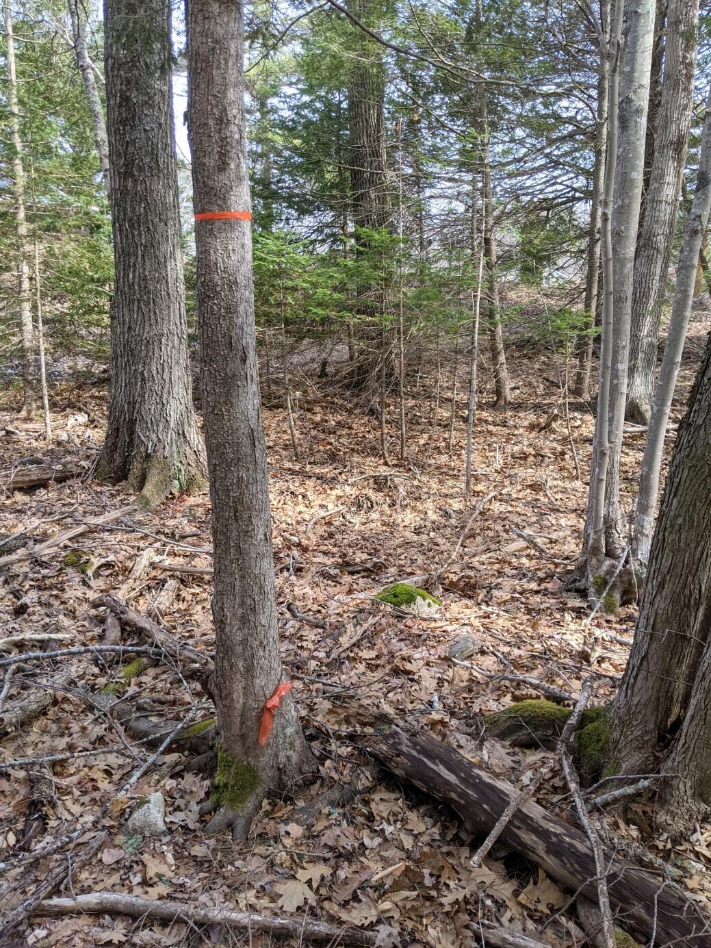 0 Arrowsic Road Bath, ME 04530 - Photo 7 of 12
