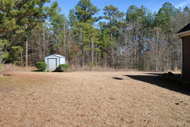 2800 Pea Ridge Road Juliette, GA 31046 - Photo 39 of 43 Additional Photo