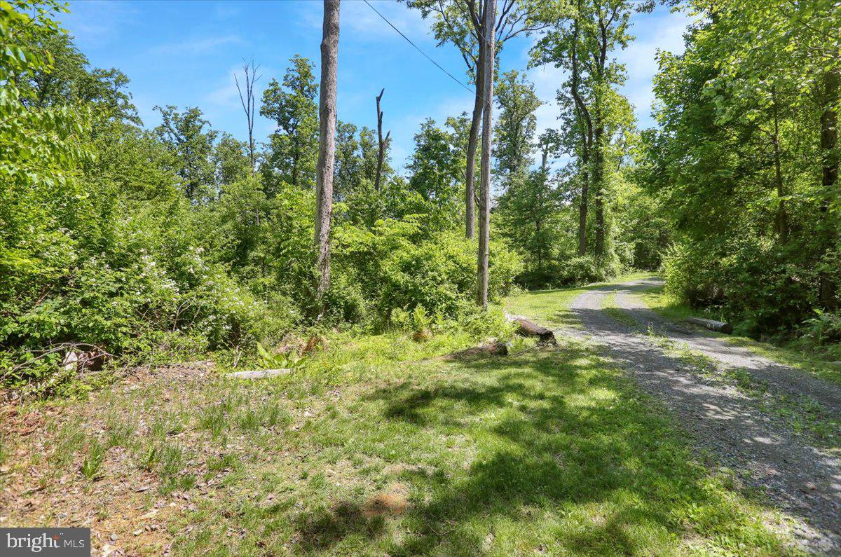0 Huffs Church Road Barto, PA 19504 - Photo 2 of 8