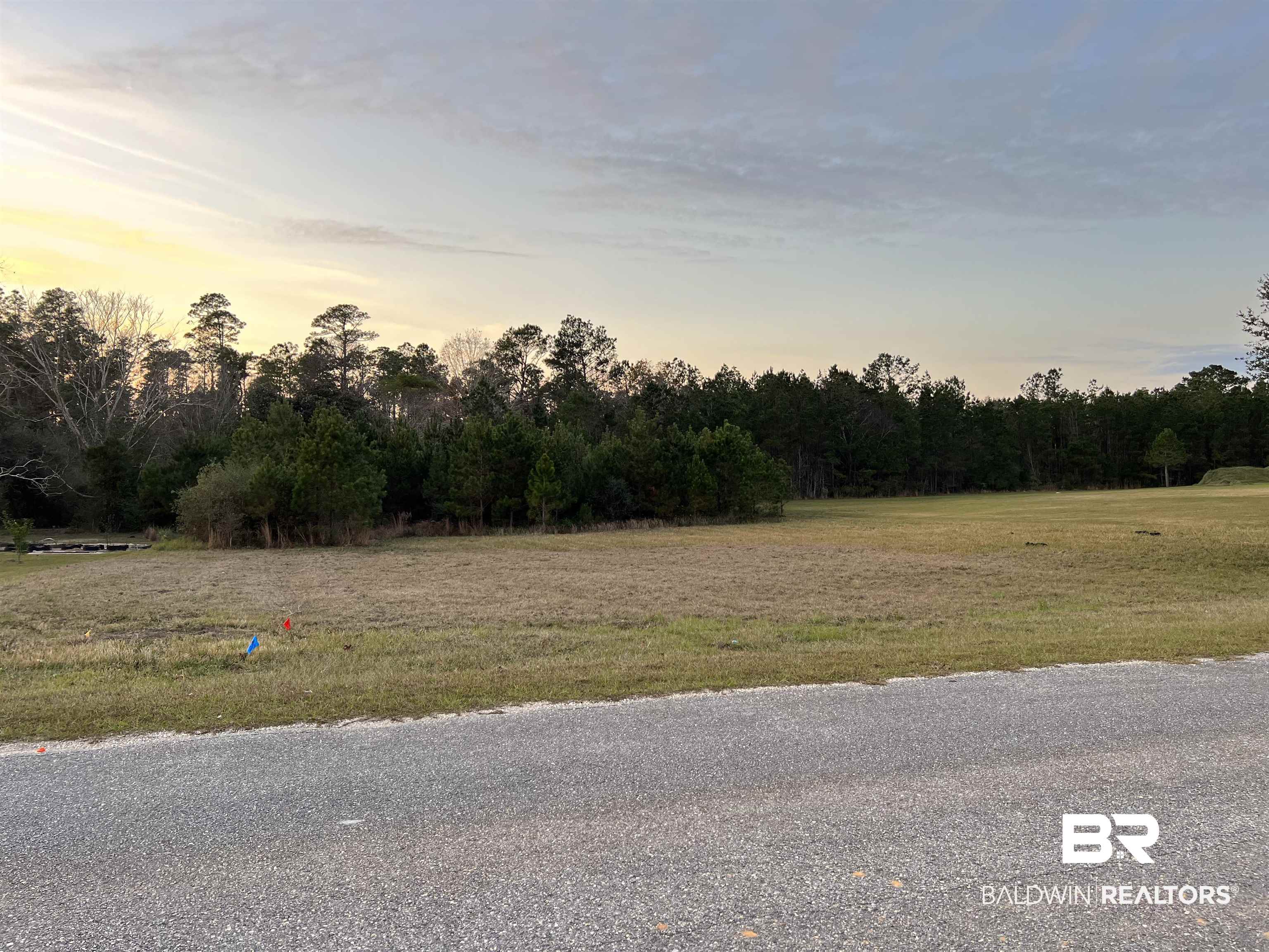 23331 Balsam Creek Drive Elberta, AL 36530 - Photo 2 of 17 West