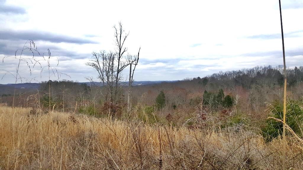 0 Son Moore Road Decatur, TN 37322 - Photo 1 of 8 Gallery Image 1