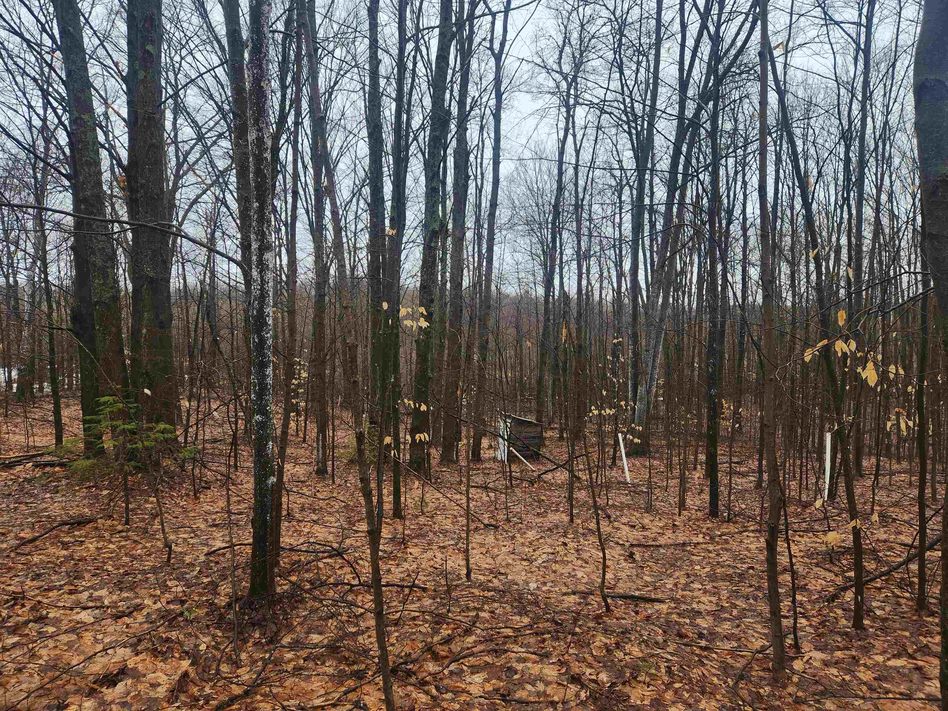 9226 Donathan Road Fife Lake, MI 49633 - Photo 14 of 18 Gallery Image 14