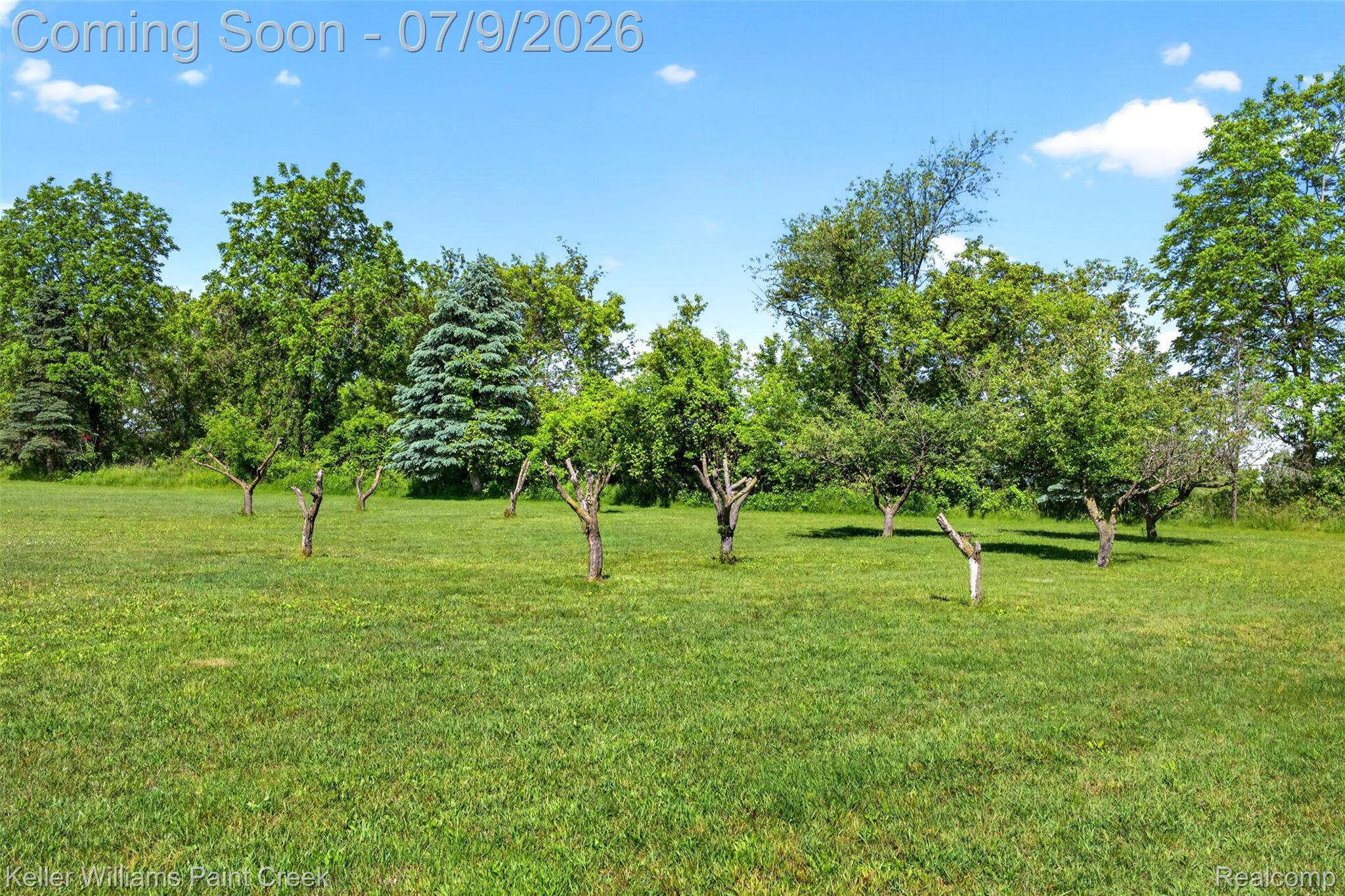 204 Russell Road Kawkawlin, MI 48631 - Photo 12 of 82 Expansive green lawn with mature trees and a clear blue sky