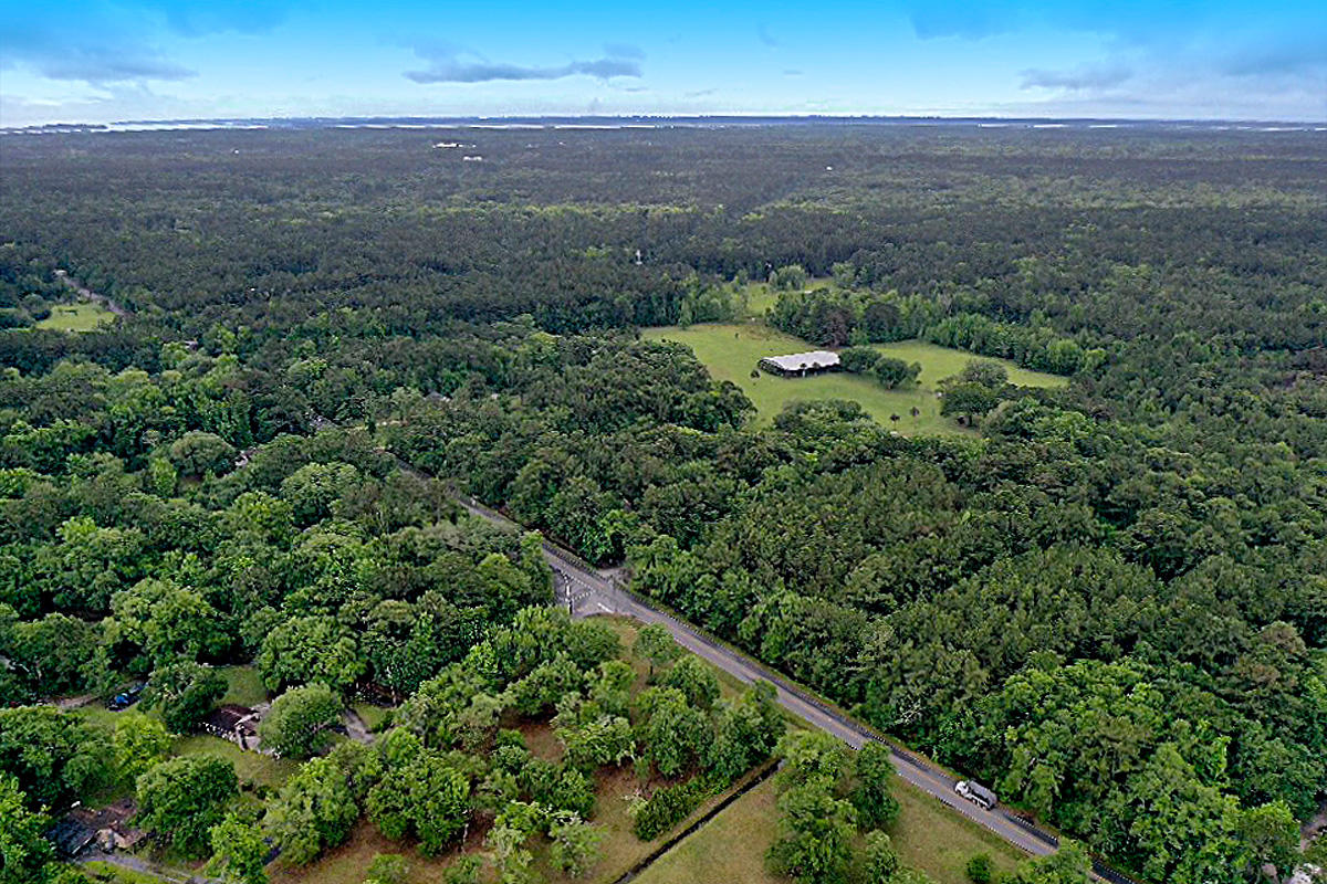 3195 Edenvale Road Johns Island, SC 29455 - Photo 5 of 13 CREM_3195 Edenvale_005