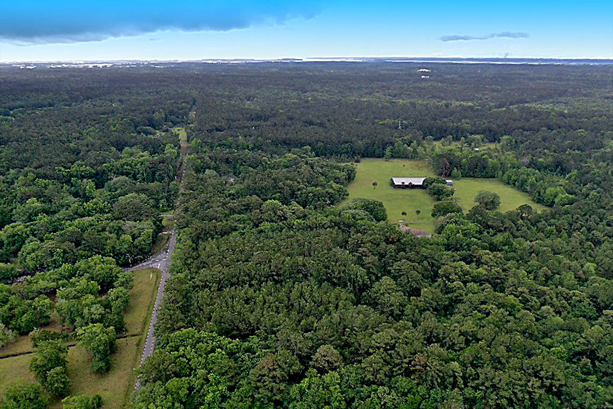 3195 Edenvale Road Johns Island, SC 29455 - Photo 6 of 13 CREM_3195 Edenvale_006