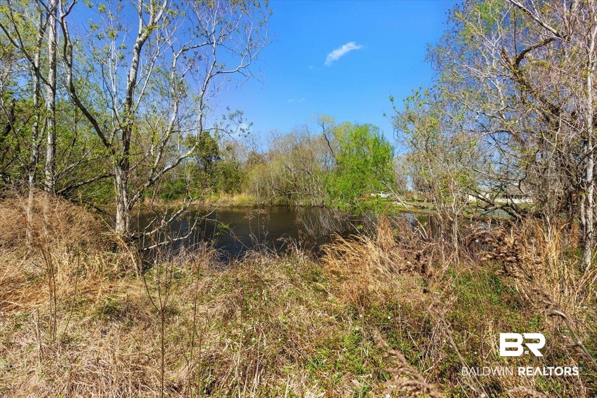 14903 County Road 13 Fairhope, AL 36532 - Photo 39 of 44
