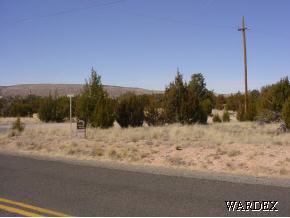 302 Fort Rock Road Seligman, AZ 86337 - Photo 2 of 9 Additional Photo