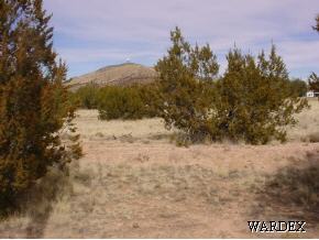 302 Fort Rock Road Seligman, AZ 86337 - Photo 3 of 9 Additional Photo