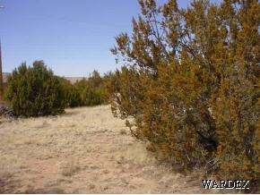 302 Fort Rock Road Seligman, AZ 86337 - Photo 4 of 9 Additional Photo
