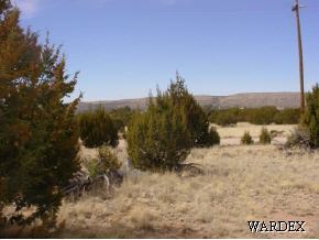 302 Fort Rock Road Seligman, AZ 86337 - Photo 5 of 9 Additional Photo