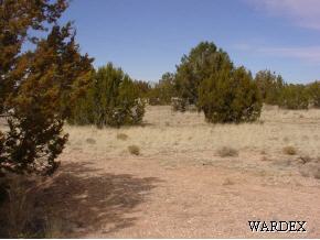 302 Fort Rock Road Seligman, AZ 86337 - Photo 6 of 9 Additional Photo