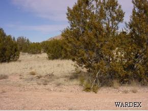 302 Fort Rock Road Seligman, AZ 86337 - Photo 7 of 9 Additional Photo