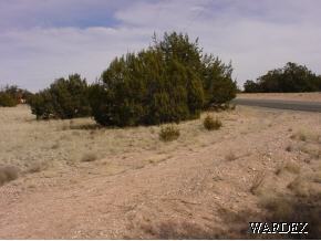 302 Fort Rock Road Seligman, AZ 86337 - Photo 8 of 9 Additional Photo