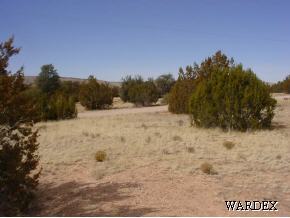 302 Fort Rock Road Seligman, AZ 86337 - Photo 9 of 9 Additional Photo