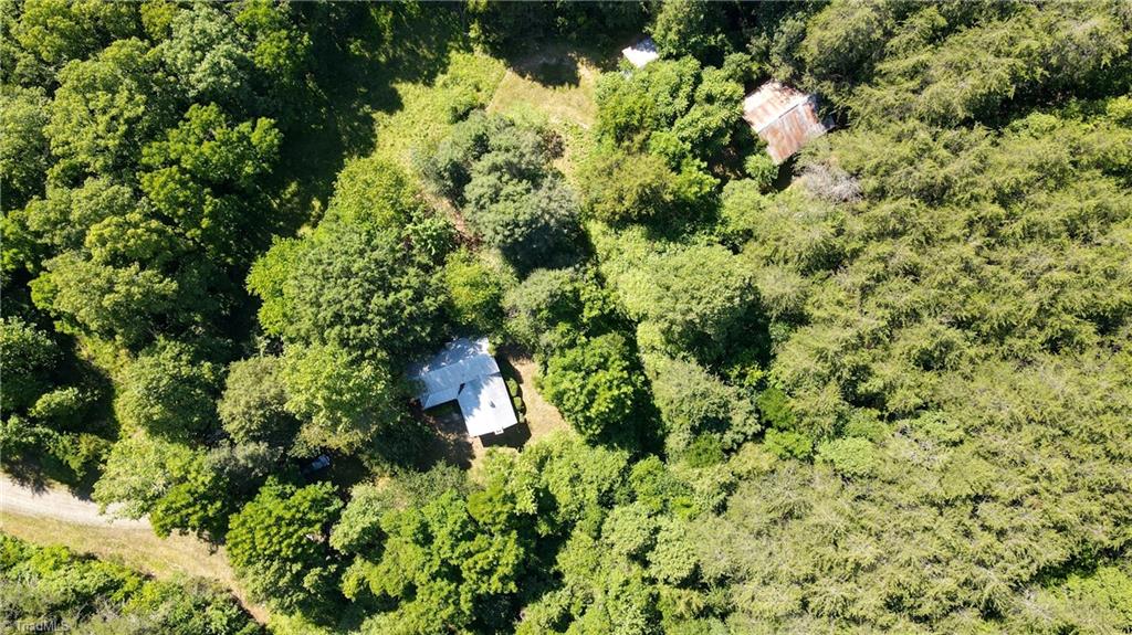1215 Lucius Beasley Road Westfield, NC 27053 - Photo 13 of 25