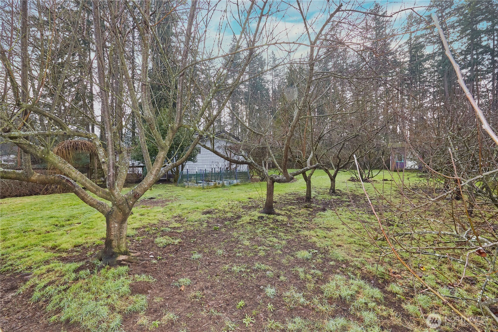 1568 Southeast Oregon Street Port Orchard, WA 98367 - Photo 11 of 31