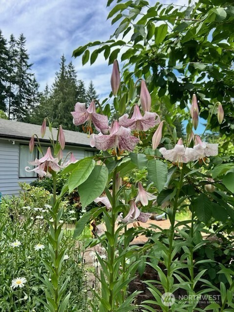 1568 Southeast Oregon Street Port Orchard, WA 98367 - Photo 7 of 31