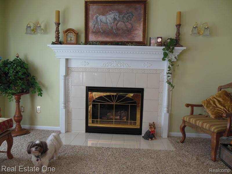 10155 Roberts Road Gregory, MI 48137 - Photo 18 of 89 Custom surround and mantel with gas log fireplace and remote control