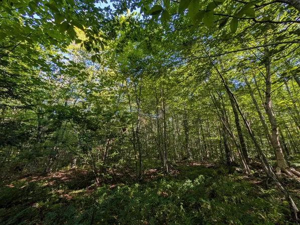 $105,000 | 0 Highland Drive, Unit 1, Montgomery Center, VT 05471