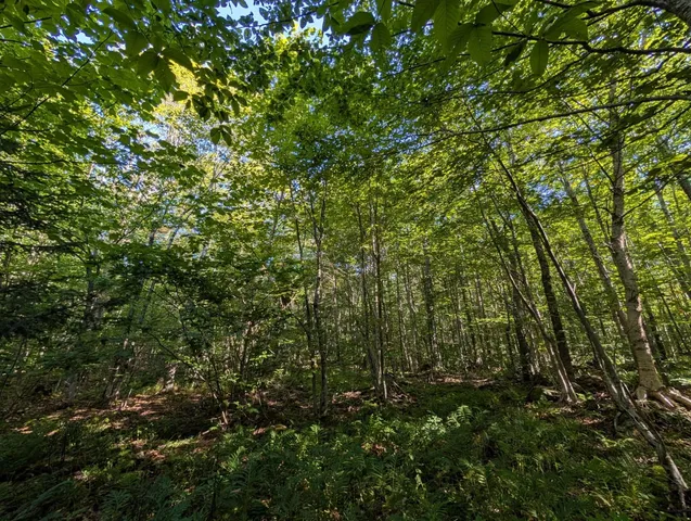 $105,000 | 0 Highland Drive, Unit 1, Montgomery Center, VT 05471