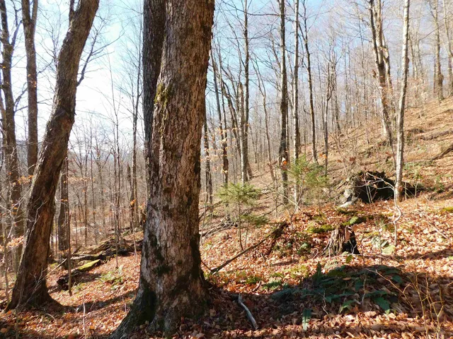 $105,000 | 0 Highland Drive, Unit 1, Montgomery Center, VT 05471