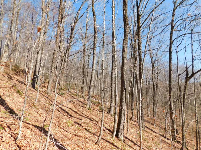 $105,000 | 0 Highland Drive, Unit 1, Montgomery Center, VT 05471