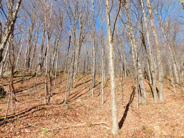 $105,000 | 0 Highland Drive, Unit 1, Montgomery Center, VT 05471