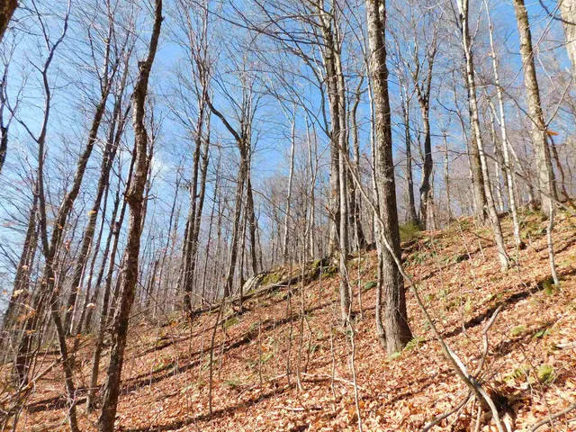 $105,000 | 0 Highland Drive, Unit 1, Montgomery Center, VT 05471