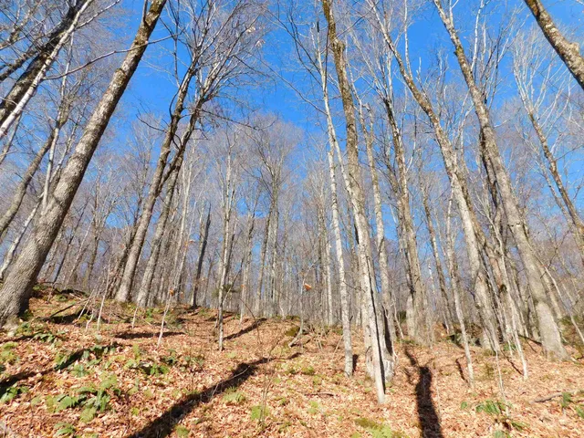 $105,000 | 0 Highland Drive, Unit 1, Montgomery Center, VT 05471