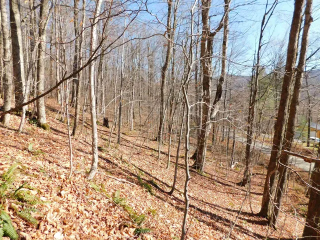 $105,000 | 0 Highland Drive, Unit 1, Montgomery Center, VT 05471