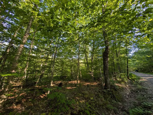 $105,000 | 0 Highland Drive, Unit 1, Montgomery Center, VT 05471