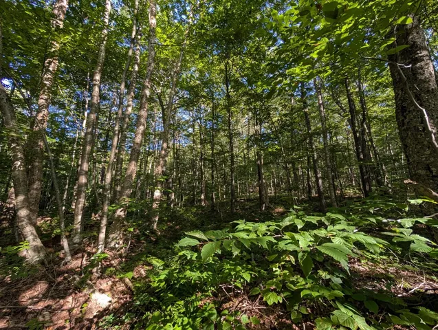 $105,000 | 0 Highland Drive, Unit 1, Montgomery Center, VT 05471