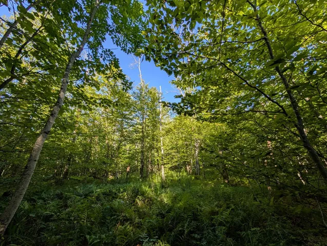 $105,000 | 0 Highland Drive, Unit 1, Montgomery Center, VT 05471