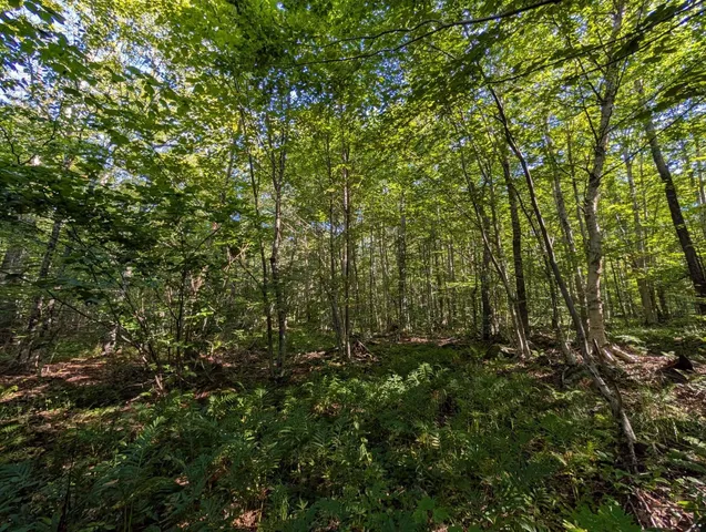 $105,000 | 0 Highland Drive, Unit 1, Montgomery Center, VT 05471