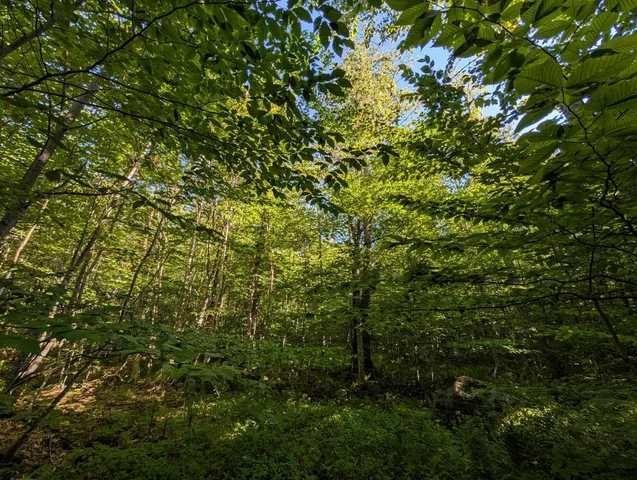 $105,000 | 0 Highland Drive, Unit 1, Montgomery Center, VT 05471