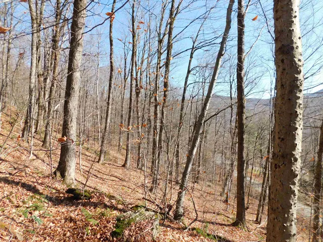 $105,000 | 0 Highland Drive, Unit 1, Montgomery Center, VT 05471