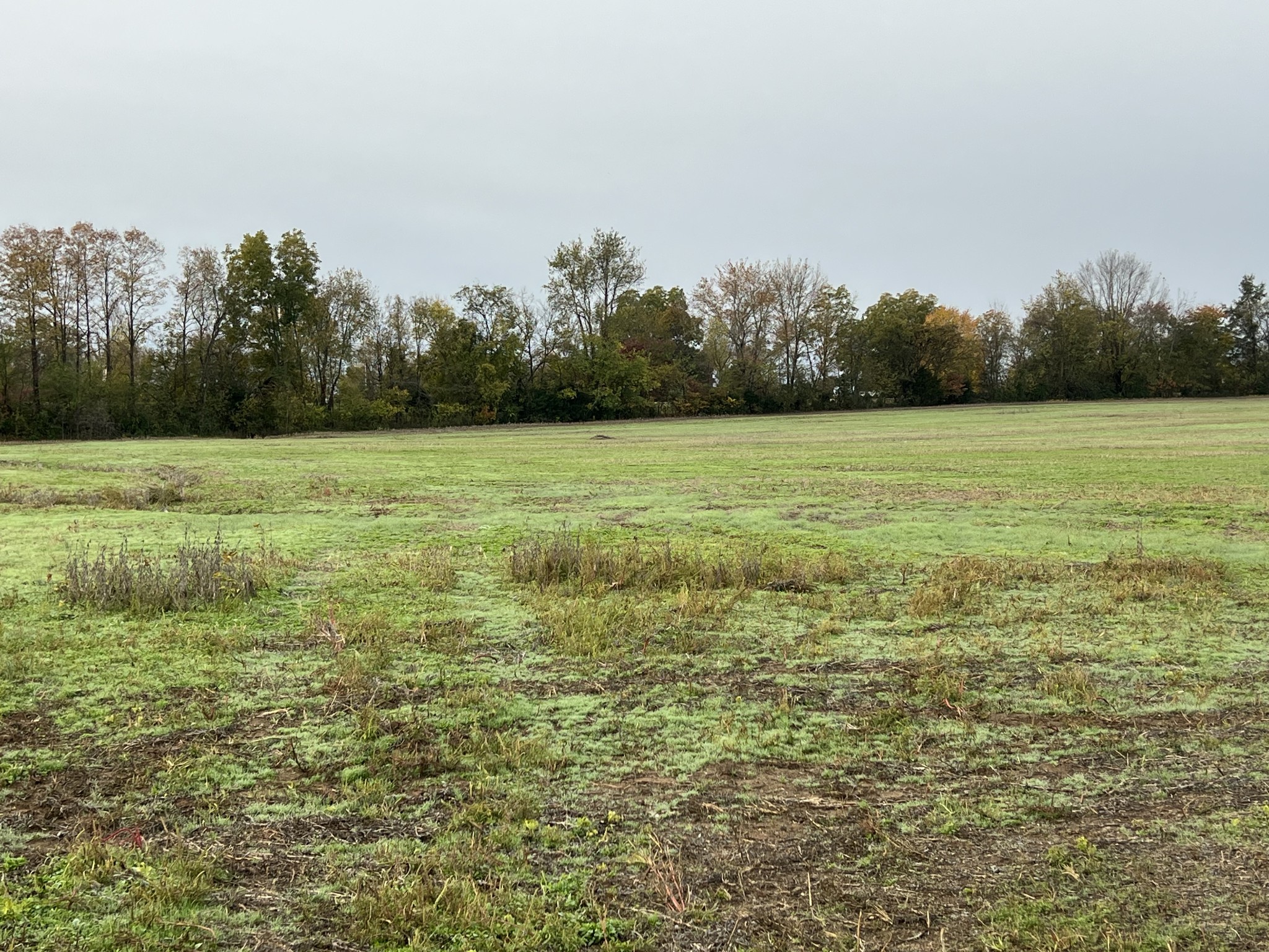 0 Tylertown Road Clarksville, TN 37040 - Photo 8 of 17 a view of a field with an trees