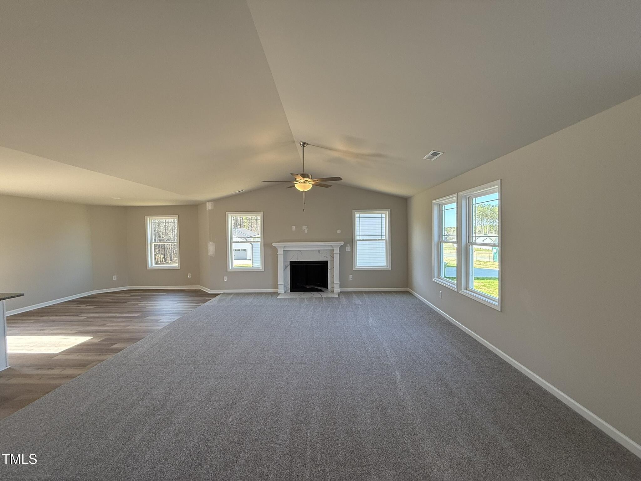 175 Magnolia Run Way Benson, NC 27504 - Photo 6 of 19 an empty room with windows and fireplace