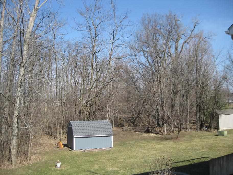 209 Briarwood Trail Decatur, IN 46733 - Photo 4 of 11