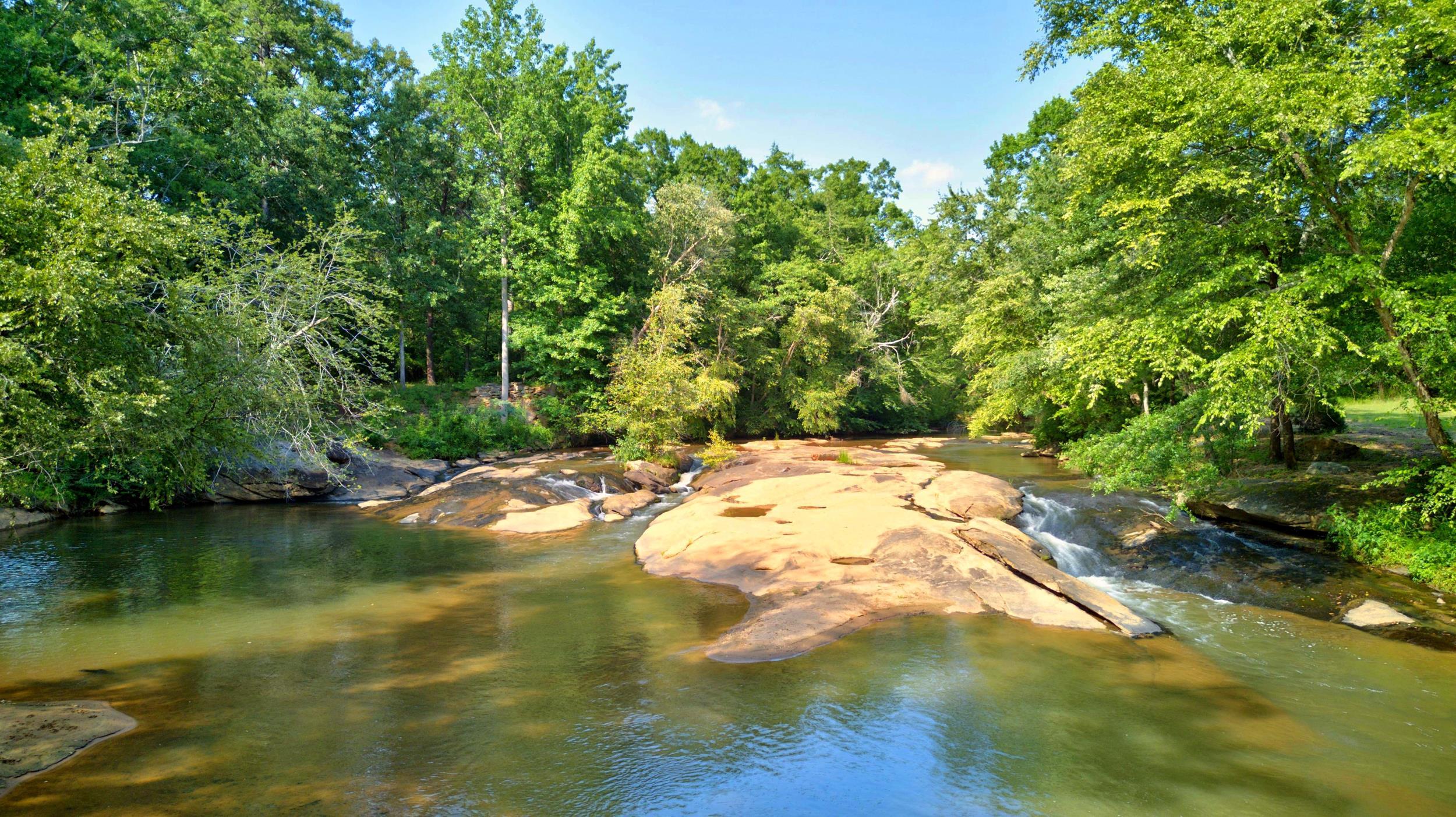 413 Wilson Ferry Road Moore, SC 29369 - Photo 6 of 48