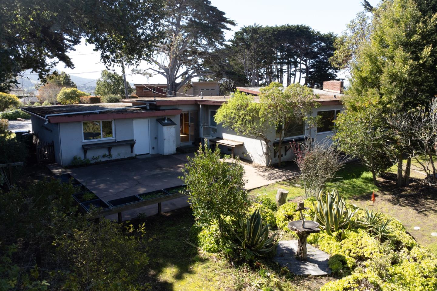 3281 Trevis Way Carmel, CA 93923 - Photo 10 of 16 a view of a house with a yard and covered trees