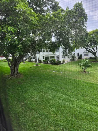 a view of a park with large trees
