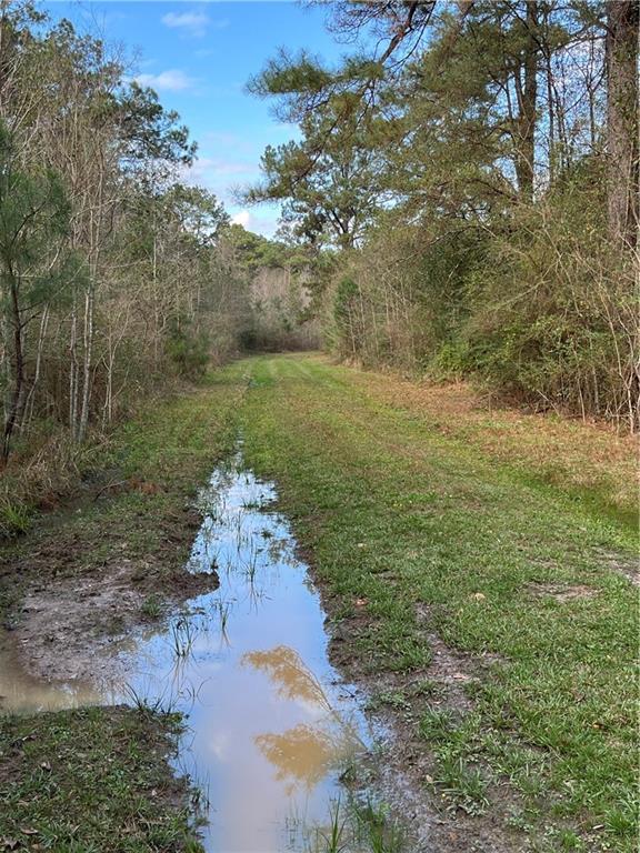 16393 Wardline Road Covington, LA 70435 - Photo 2 of 5