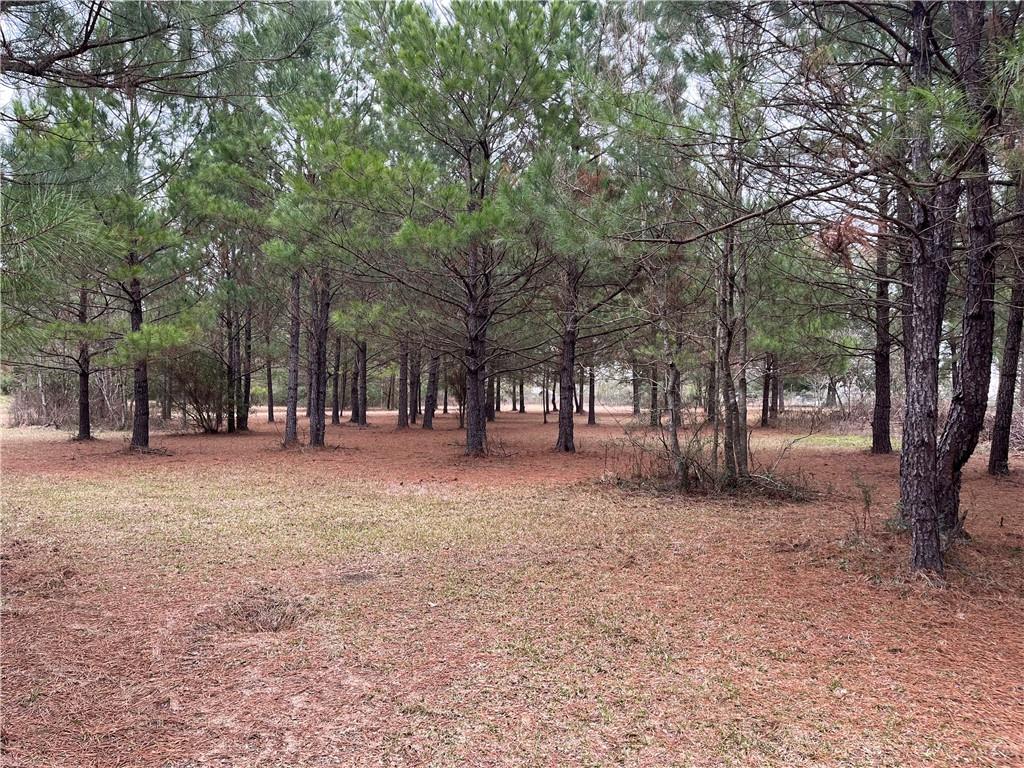 16393 Wardline Road Covington, LA 70435 - Photo 3 of 5