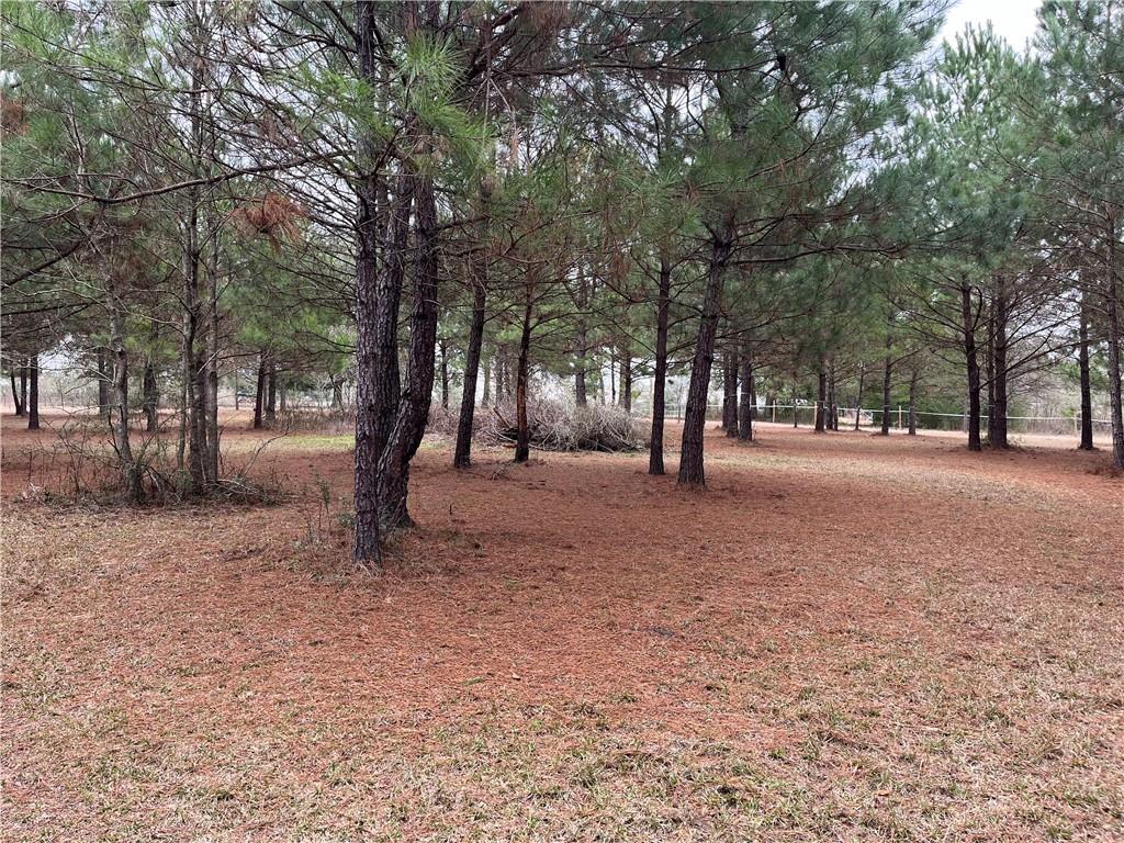 16393 Wardline Road Covington, LA 70435 - Photo 4 of 5