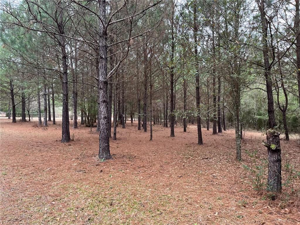 16393 Wardline Road Covington, LA 70435 - Photo 5 of 5