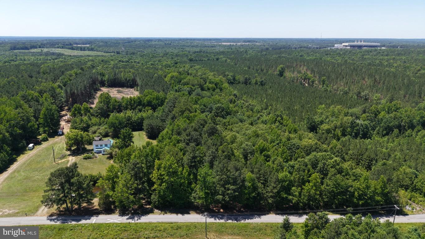 0 Freemans Cross Road Freeman, VA 23856 - Photo 25 of 36